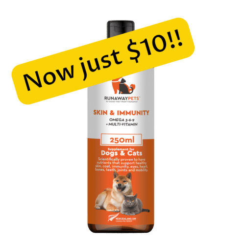 SKIN & IMMUNITY
