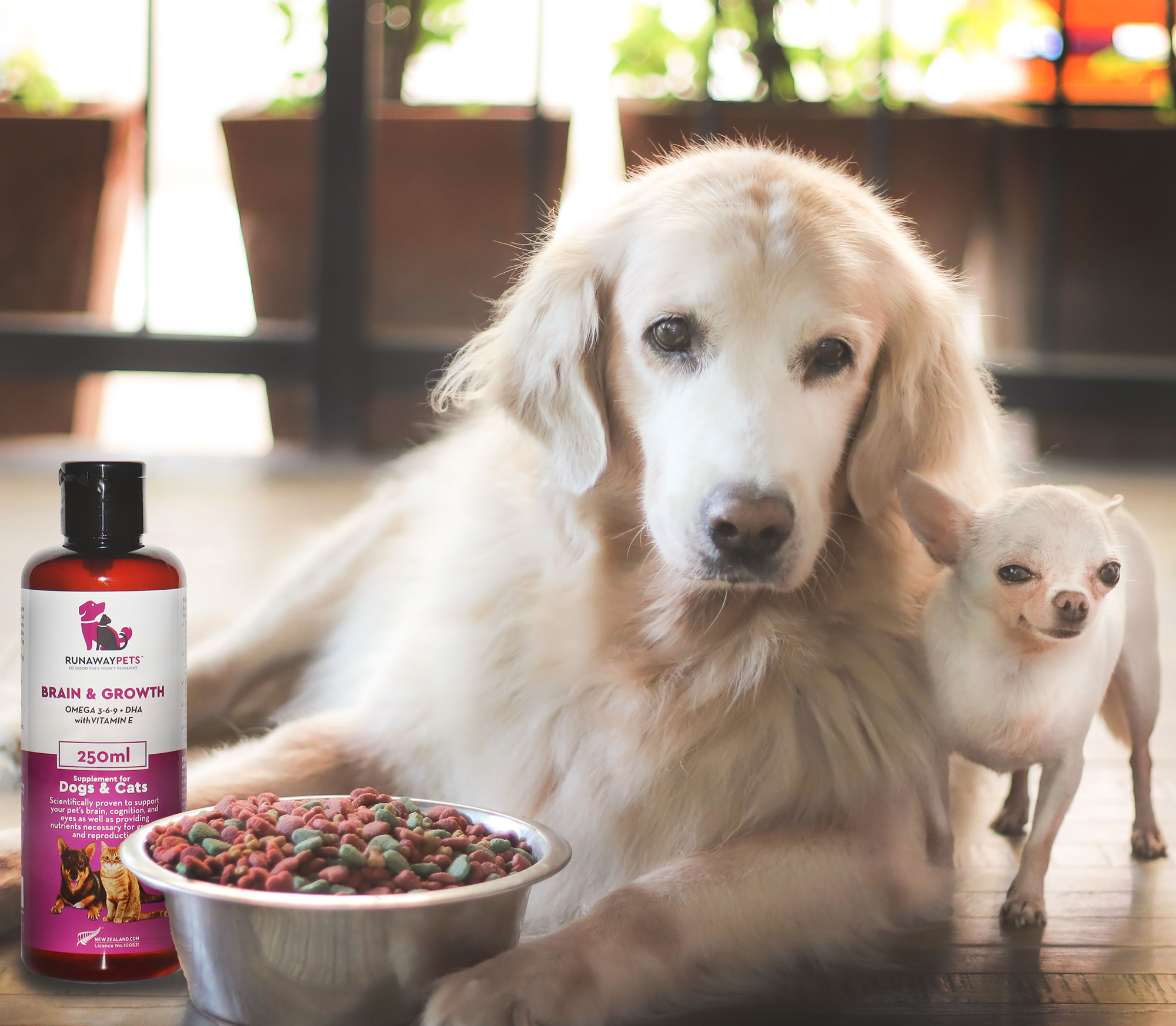 A closer look at Grain Free Dog Food With Omega 3 And Flaxseed Oil For Dogs With Keratitis
