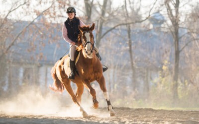 Flaxseed Oil for Horses and Ponies: More Than Just a Shiny Coat